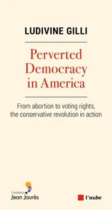 Perverted Democracy in America