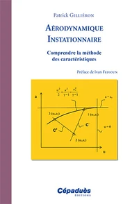 Aérodynamique instationnaire