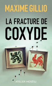 La fracture de coxyde