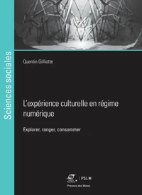 L'expérience culturelle en régime numérique