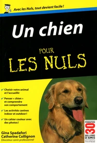 Un chien pour les nuls