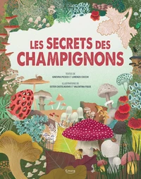 Les secret des champignons