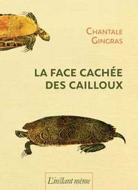 La face cachee des cailloux