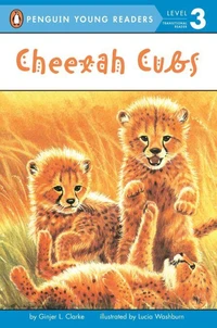 Cheetah Cubs