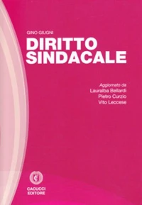 Diritto Sindacale