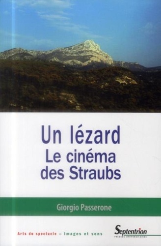 Un lézard. Le cinéma des Straubs