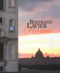 Bertrand Lavier
