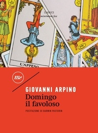 Giovanni Arpino et Darwin Pastorin - Domingo il favoloso.