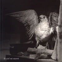 Méchamment les oiseaux