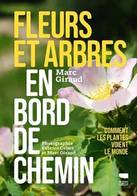 Fleurs et arbres en bord de chemin