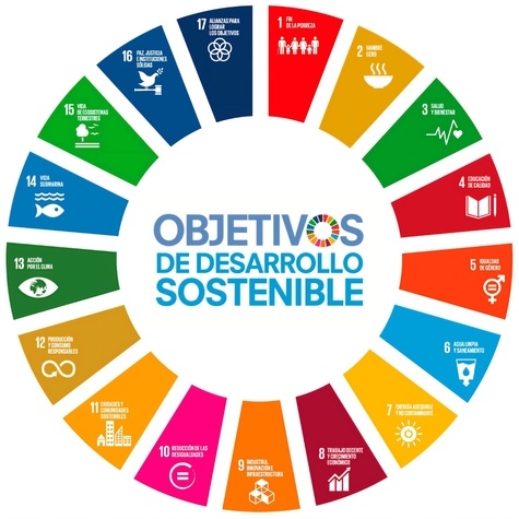 Objetivos de Desarrollo Sostenible de Gisela Villasevil Pau - ePub - Ebooks  - Decitre