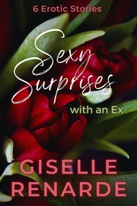 Sexy Surprises with an Ex