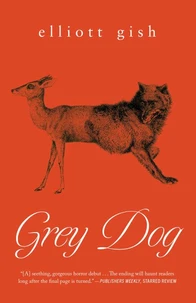 Grey Dog