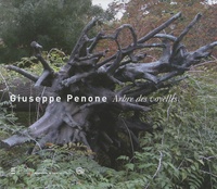Giuseppe Penone - Arbre des voyelles.