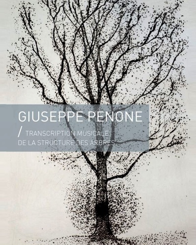 Giuseppe Penone - Transcription musicale de la structure des arbres.