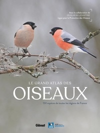  Glénat - Le grand atlas des oiseaux - 150 espèces de toutes les régions de France.