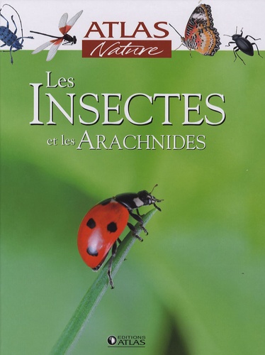  Glénat - Les Insectes et les Arachnides.