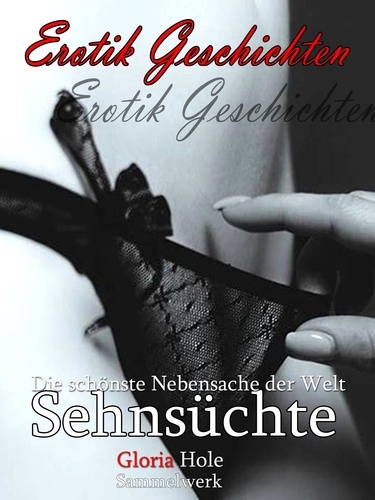 Sehnsüchte - Erotik Roman. Erotische Sex-Geschichten ab 18 Jahren deutsch / unzensiert