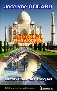 Le sari du Rajasthan