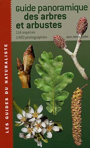 Guide panoramique des arbres et arbustes