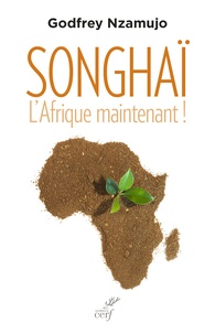 Godfrey Nzamujo - Songhaï - L'Afrique maintenant !.