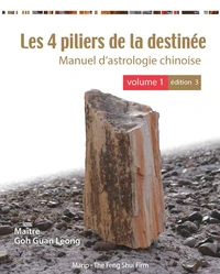 Les 4 piliers de la destinee - vol 1 (3e ed) en couleur