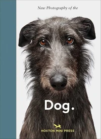 Dog.
