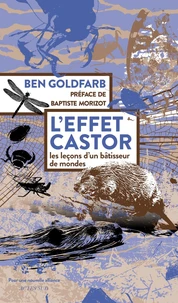 L'effet castor