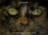 Nan Goldin You Never Did Anything Wrong /anglais