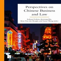 Perspectives on Chinese Business and Law