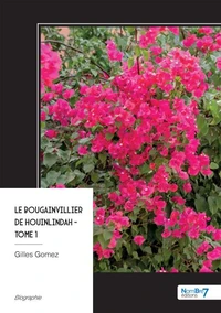 Le bougainvillier de Houinlindah - Tome 1