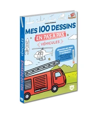 Mes 100 dessins en pas à pas