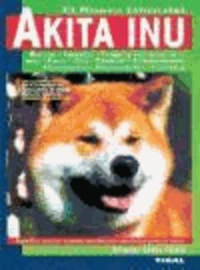 Akita inu