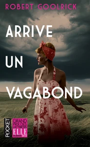 Arrive un vagabond