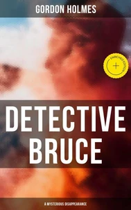 Detective Bruce: A Mysterious Disappearance