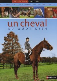 Un cheval au quotidien