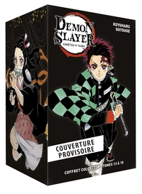 Demon Slayer - Coffret T13 à T18
