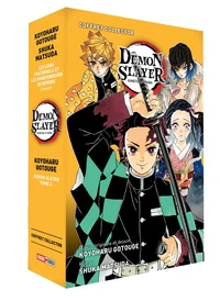 Demon Slayer Tome 4 ; Roman Tome 2