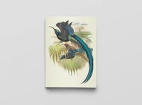 Carnet Oiseaux de Nouvelle-Guinée