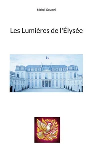 Les lumières de l'Elysée