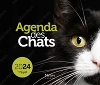 Agenda des chats