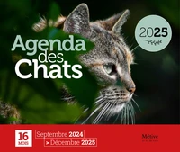 Agenda des Chats