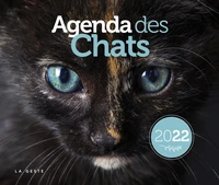 Agenda des chats