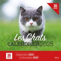 Les chats