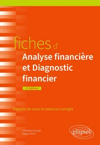 Fiches d'analyse financière et diagnostic financier