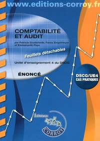 Comptabilité et audit UE 4 du DSCG