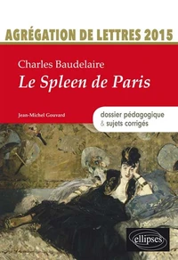 Charles Baudelaire, Le spleen de Paris