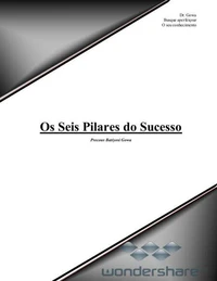 Os Seis Pilares do Sucesso