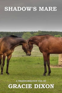 Transformation Tales: Shadow's Mare