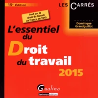 L'essentiel du droit du travail 2015